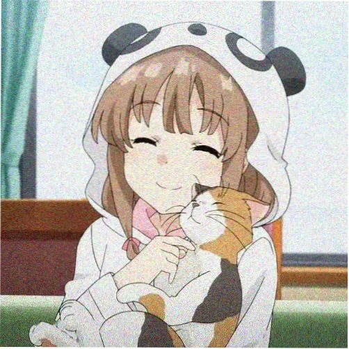 论理电影